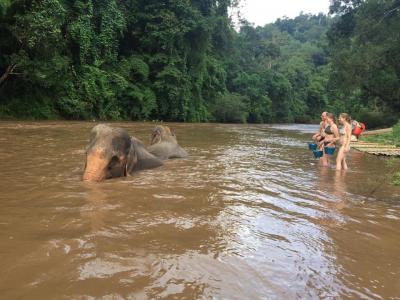 3 days/2 nights trekking tour | Chiang Mai Trekking | The best trekking in Chiang Mai with Piroon Nantaya